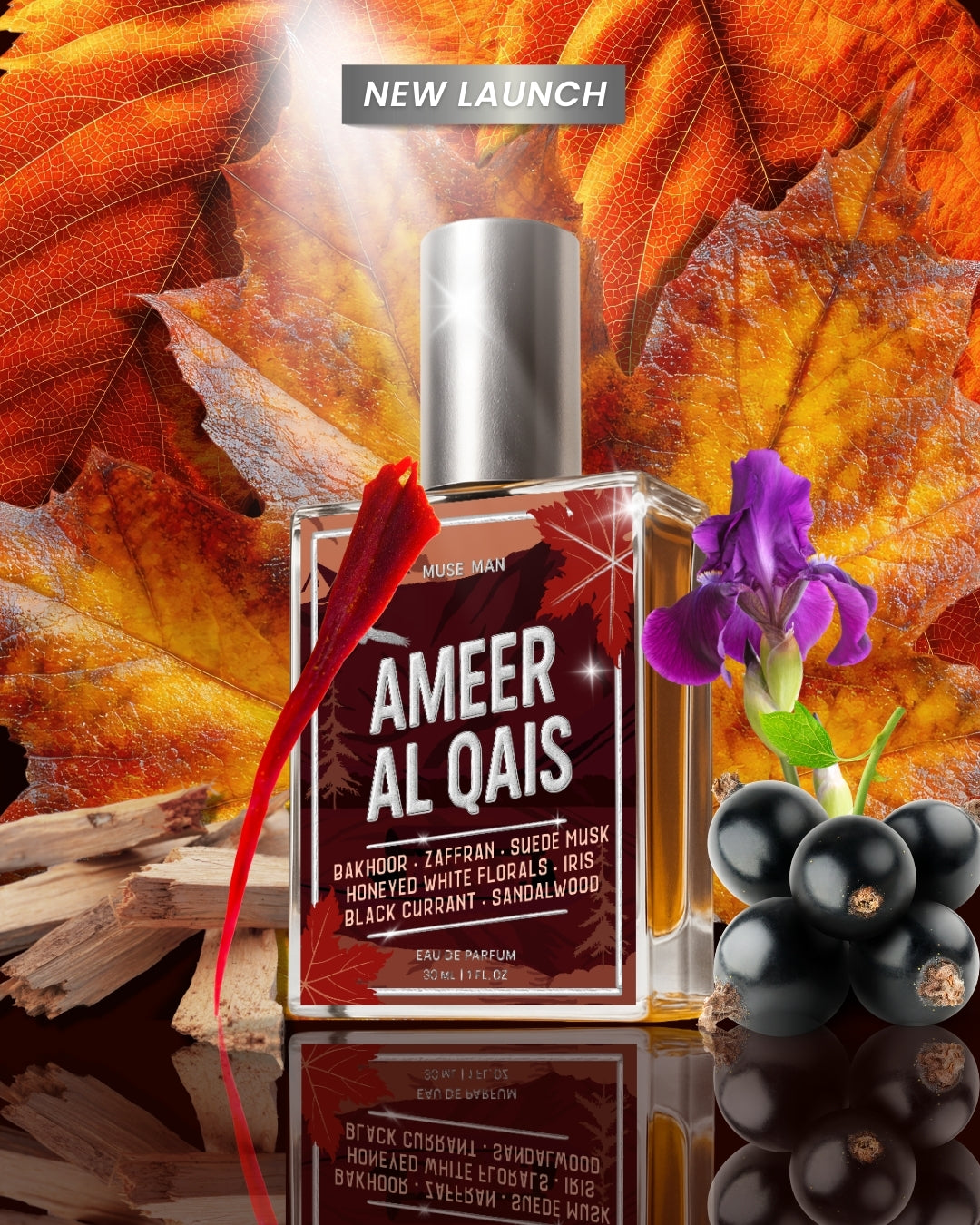 Ameer Al Qais