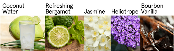 Ingredient