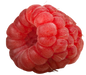 raspberries