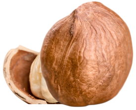 roasted hazelnuts